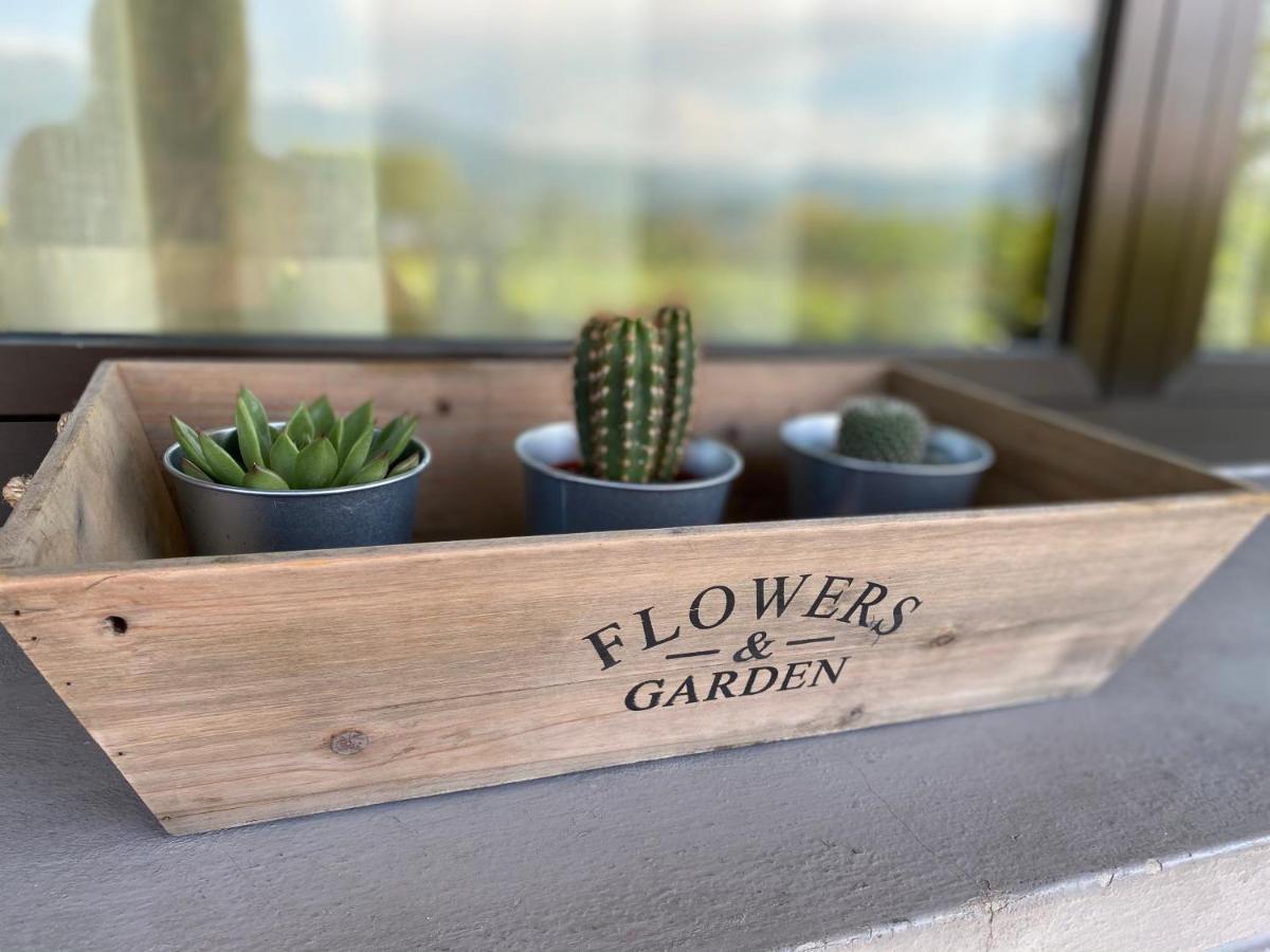Flowers & Garden Apartment Con Vista Lago مانربا ديل جاردا المظهر الخارجي الصورة